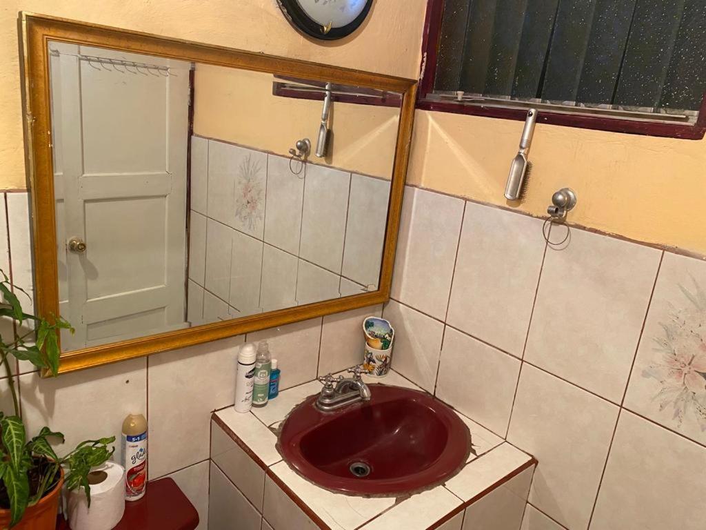 Casa Lupita Alajuela Διαμέρισμα Εξωτερικό φωτογραφία