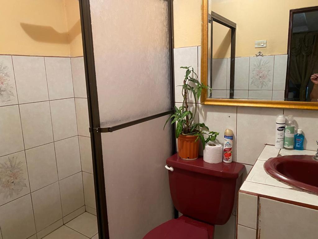 Casa Lupita Alajuela Διαμέρισμα Εξωτερικό φωτογραφία