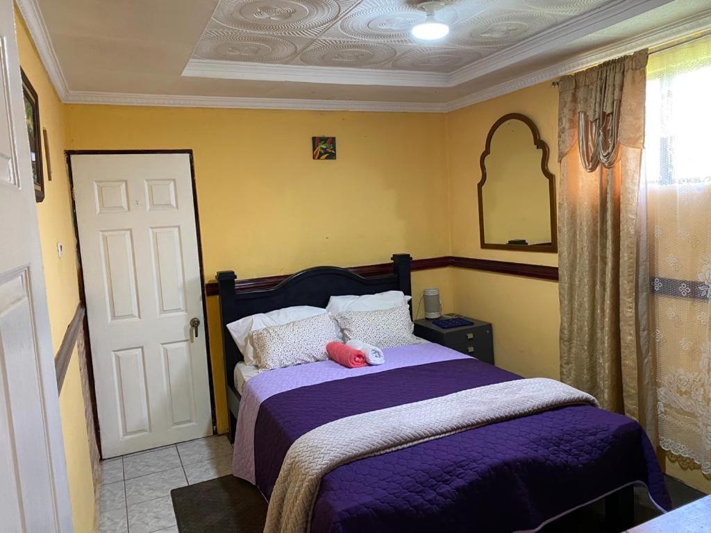 Casa Lupita Alajuela Διαμέρισμα Εξωτερικό φωτογραφία