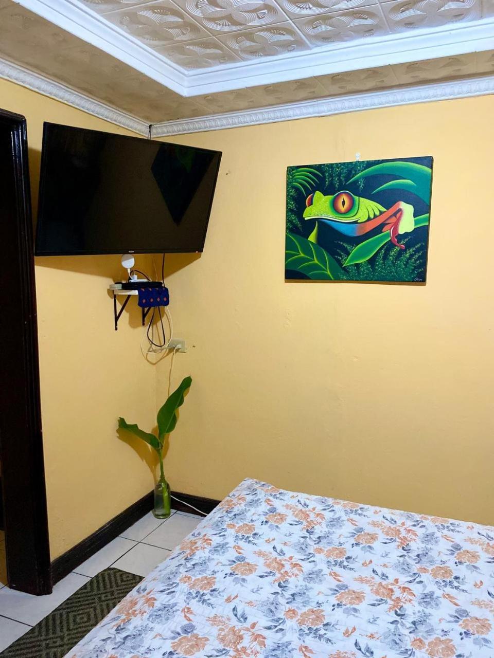 Casa Lupita Alajuela Διαμέρισμα Εξωτερικό φωτογραφία